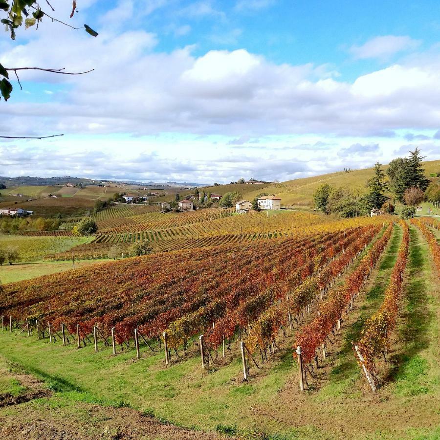 Cascina Tra I Vigneti A Nizza Monferrato 빌라 외부 사진