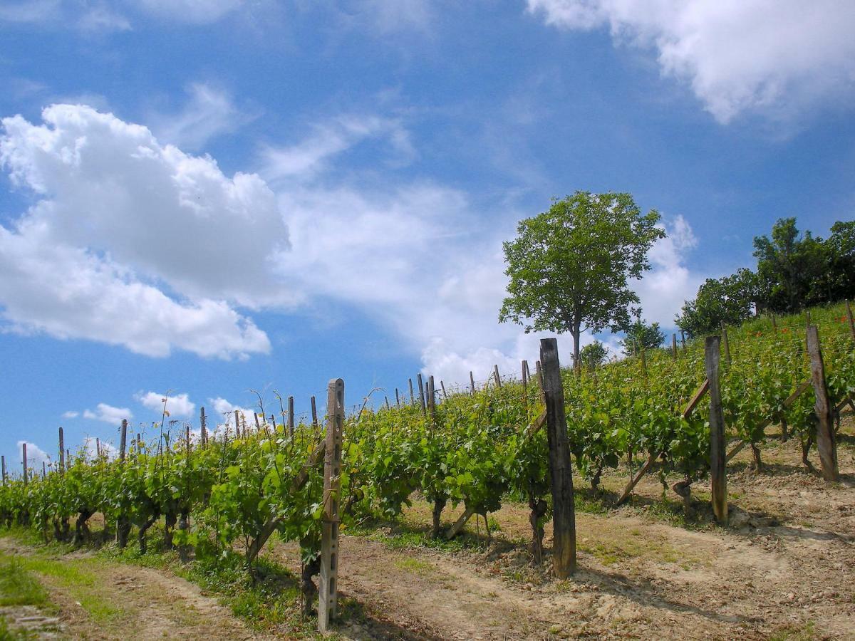 Cascina Tra I Vigneti A Nizza Monferrato 빌라 외부 사진